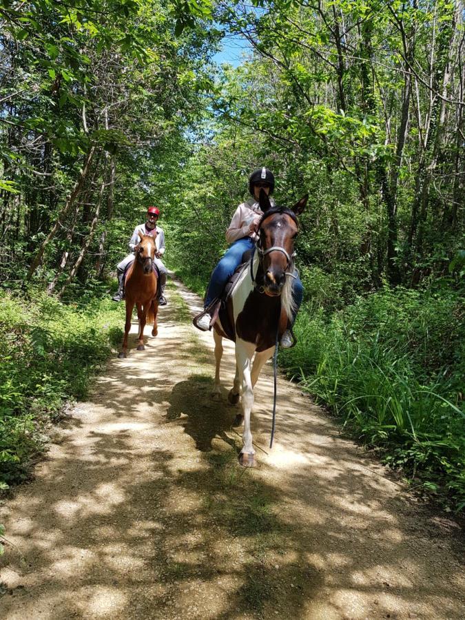 Capdrot Gite Equestre Domaine Des Crins - Monpazier المظهر الخارجي الصورة