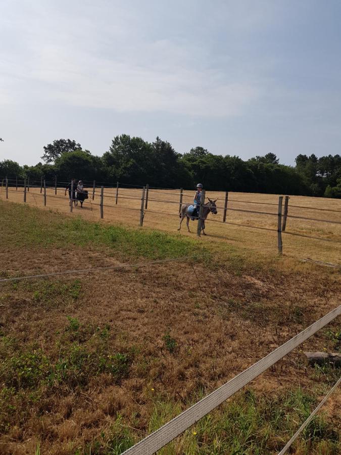 Capdrot Gite Equestre Domaine Des Crins - Monpazier المظهر الخارجي الصورة
