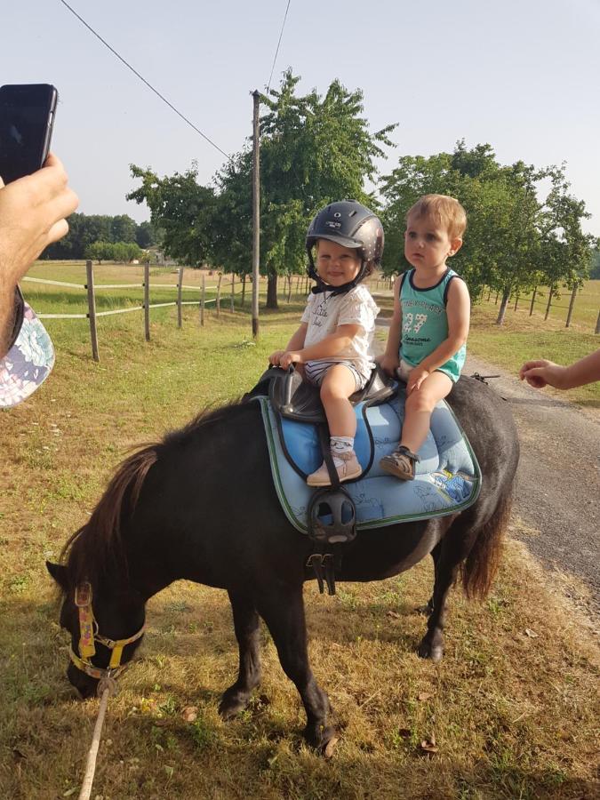 Capdrot Gite Equestre Domaine Des Crins - Monpazier المظهر الخارجي الصورة
