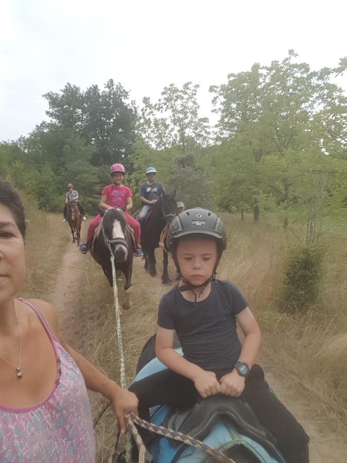 Capdrot Gite Equestre Domaine Des Crins - Monpazier المظهر الخارجي الصورة