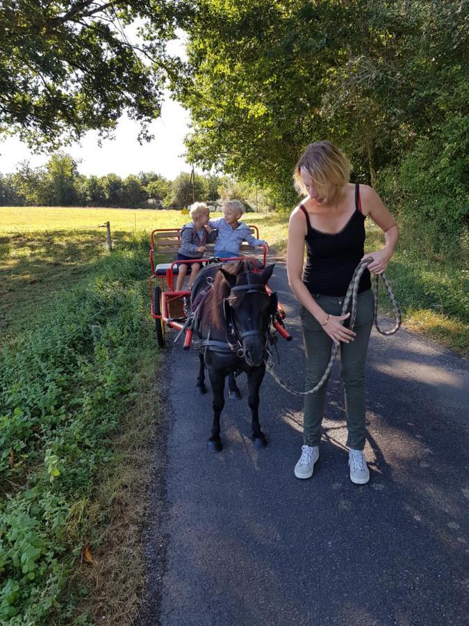 Capdrot Gite Equestre Domaine Des Crins - Monpazier المظهر الخارجي الصورة