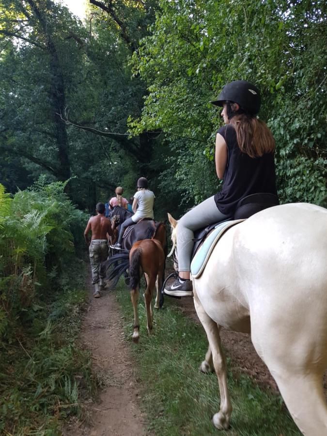 Capdrot Gite Equestre Domaine Des Crins - Monpazier المظهر الخارجي الصورة