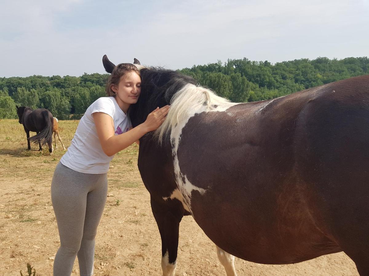 Capdrot Gite Equestre Domaine Des Crins - Monpazier المظهر الخارجي الصورة